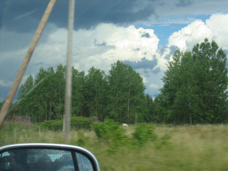 Sweden 2006-04 116